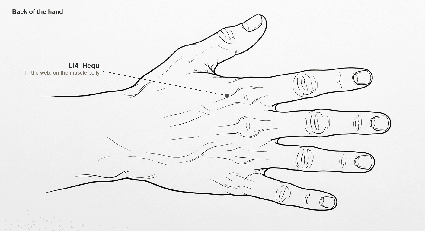 Back of the hand with LI4 Hegu marked in the web between thumb and index finger