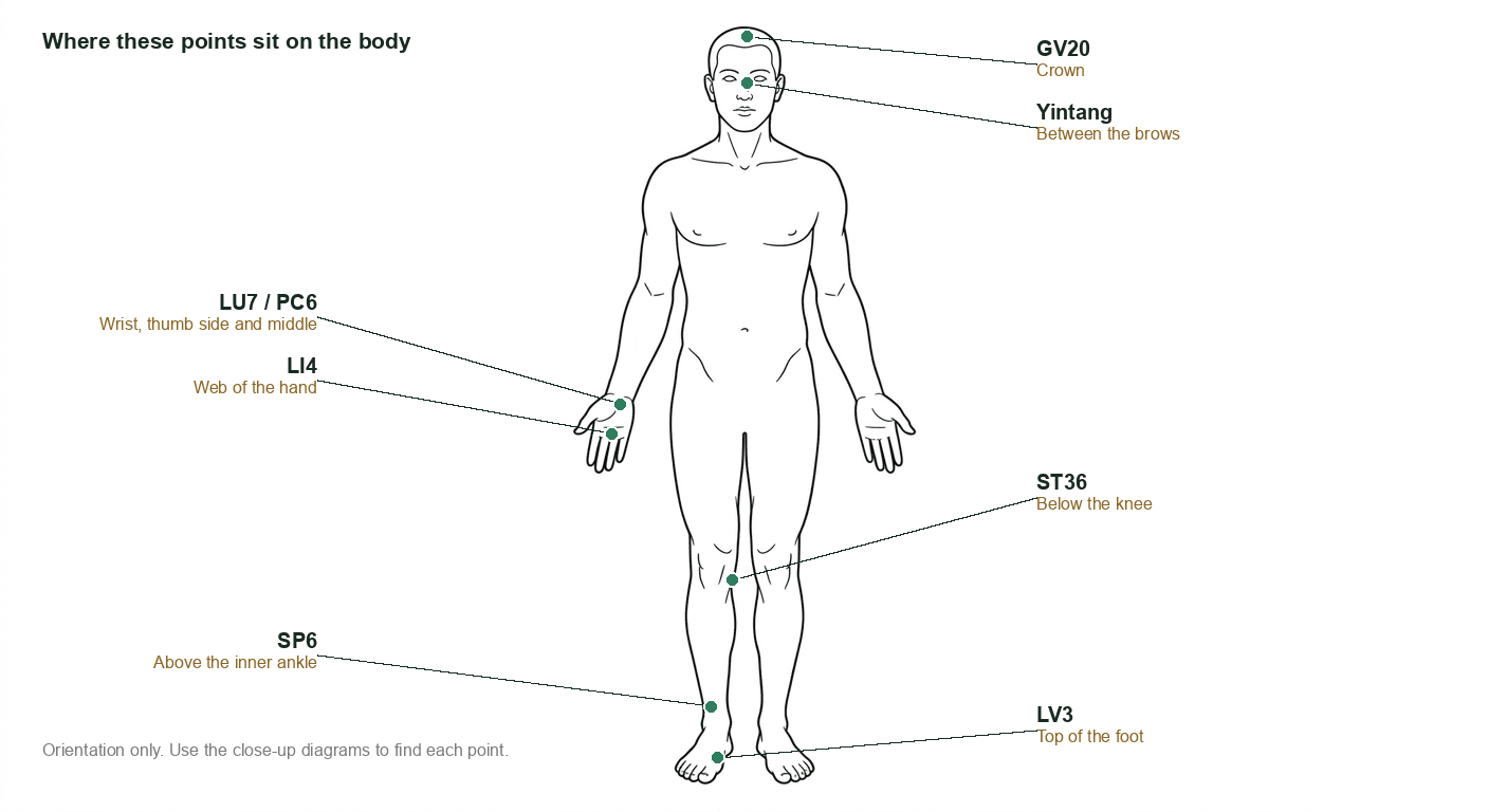 Full body chart showing where LI4, PC6, LU7, ST36, SP6, LV3, GV20 and Yintang sit