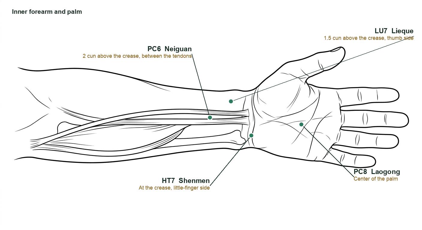 Inner forearm and palm with PC6, HT7, LU7 and PC8 marked