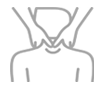 Massage Therapy service